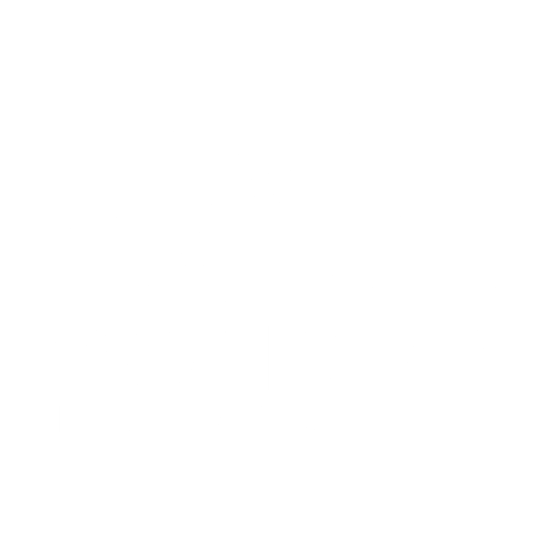 dogmergency logo weiss
