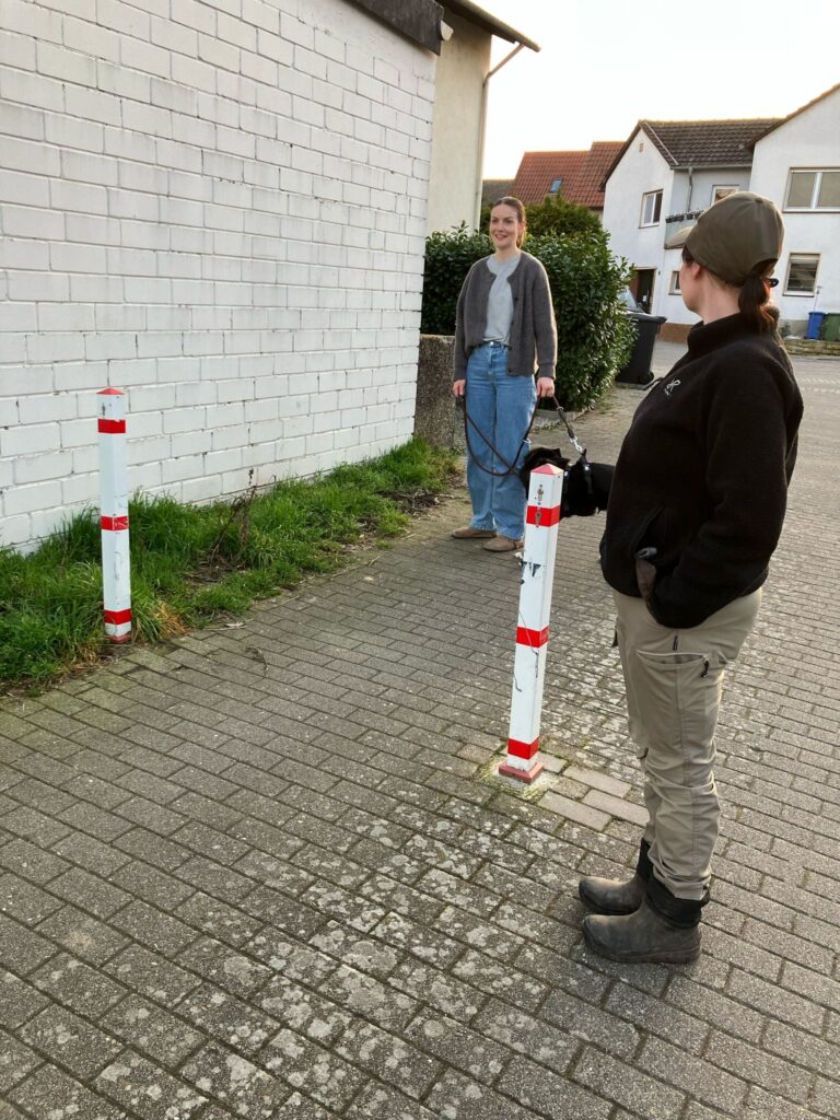 einzelstunde 1
