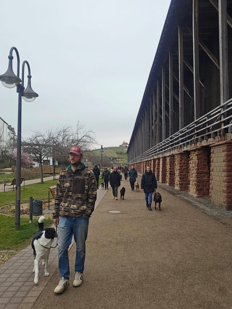foto 15.03.25, 13 08 07